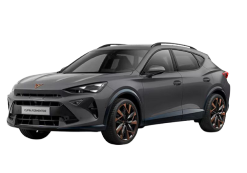 cupra formentor, 18087-b-20,automatique,03012024 gris